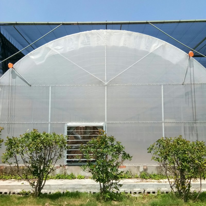 新型温室大棚，玻璃温室，智能温室，温室建设