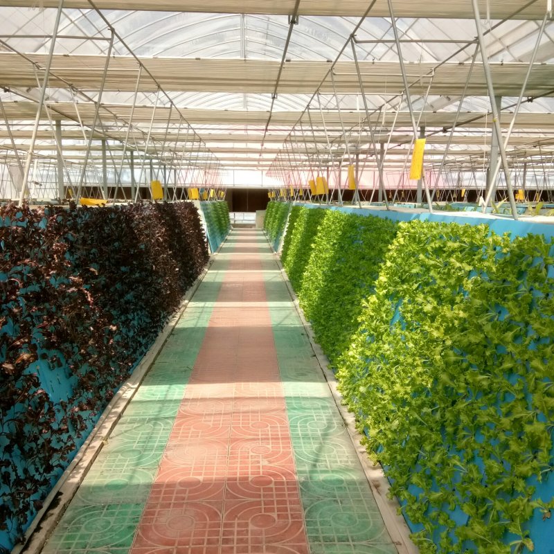 新型温室大棚，玻璃温室，智能温室，温室建设