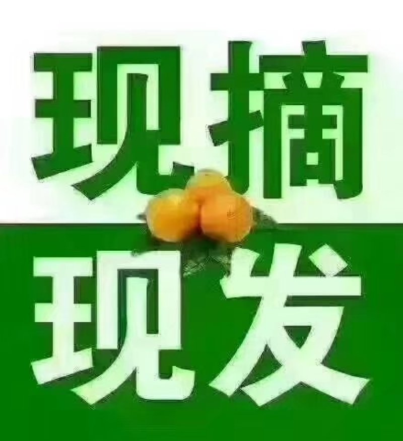 赣南脐橙