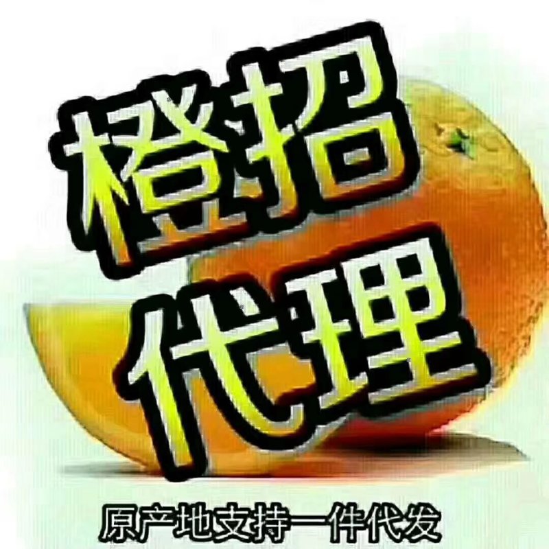 赣南脐橙