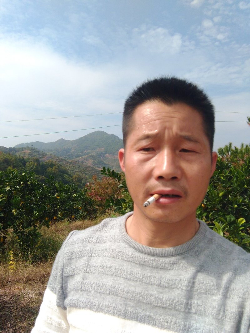 赣南脐橙