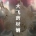 蟾蜍衣河南俩张起批无硫无添加不包邮只做正品