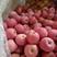 苹果山东美八苹果产地批发常年代办货源充足口感脆甜