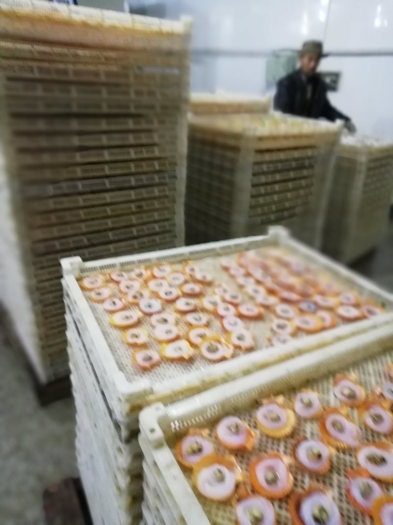 黄金组合贝