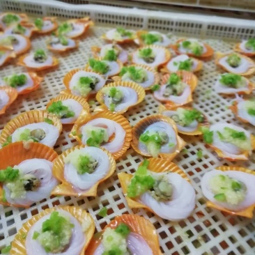 黄金组合贝