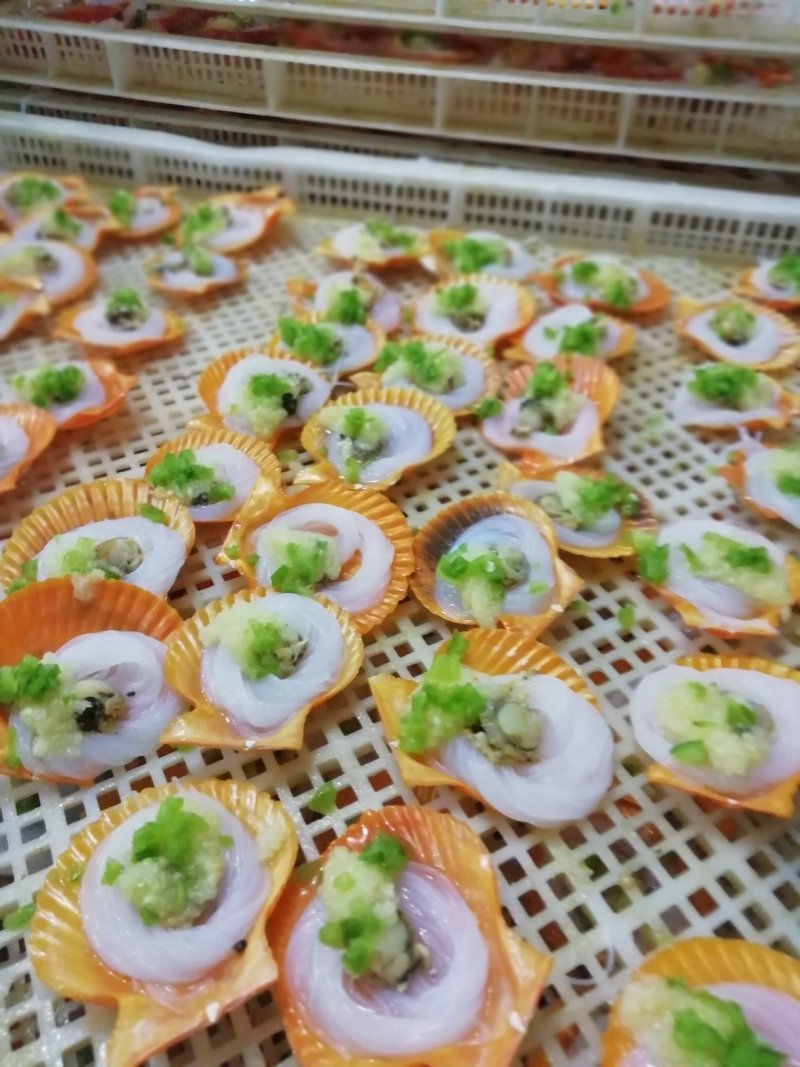 黄金组合贝
