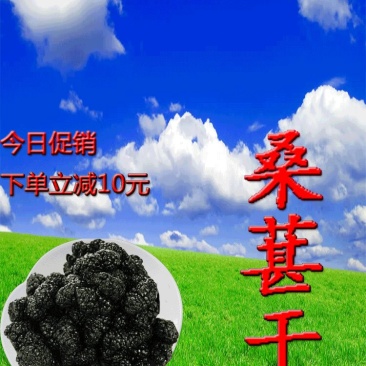 四川黑桑葚干手选大颗粒无沙免洗泡茶泡水泡酒5斤装包邮