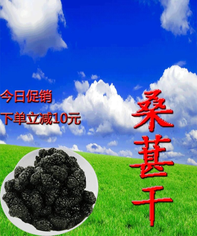 四川黑桑葚干手选大颗粒无沙免洗泡茶泡水泡酒5斤装包邮