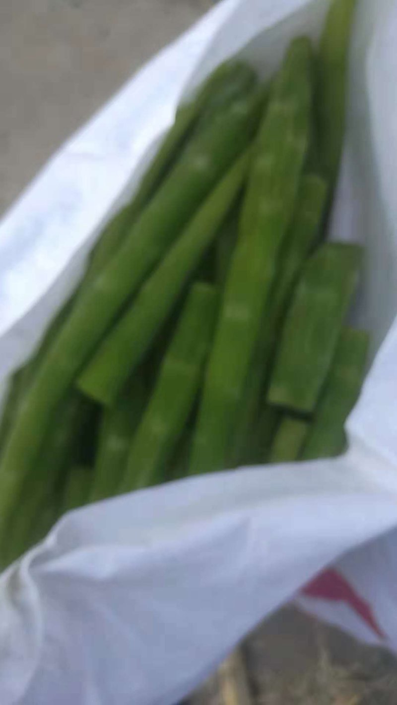 莴苣肉