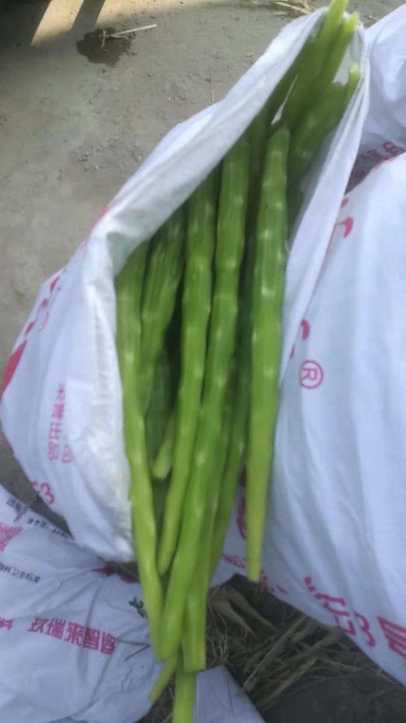 莴苣肉