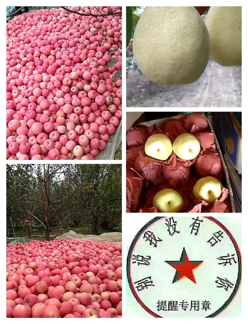 梨，苹果