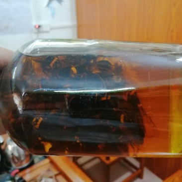 两年黄蜂酒