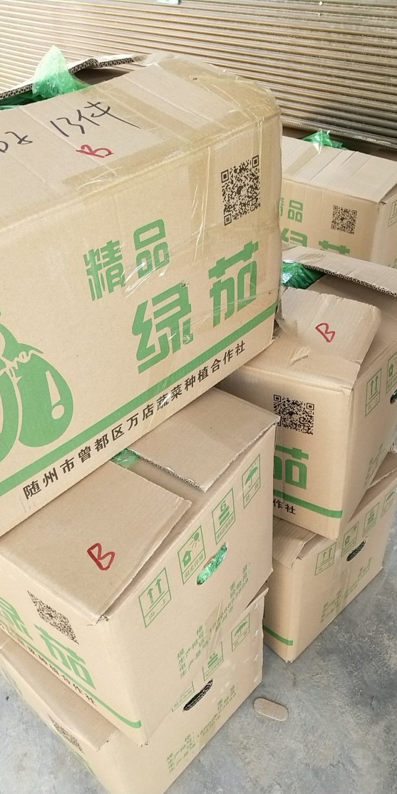 精品青茄子