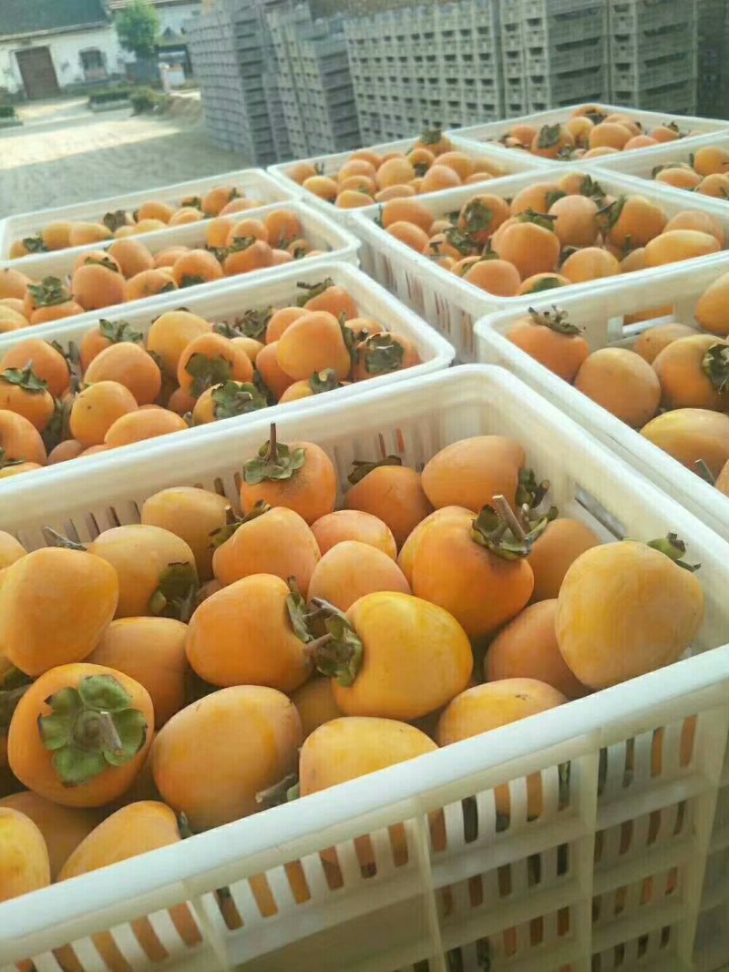 富平柿饼