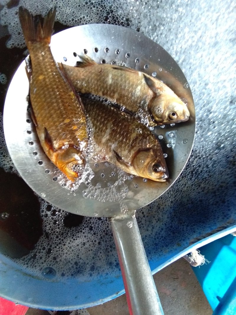 老头鱼，鲤鱼，鲫鱼，黑鱼，白鱼，泥鳅鱼