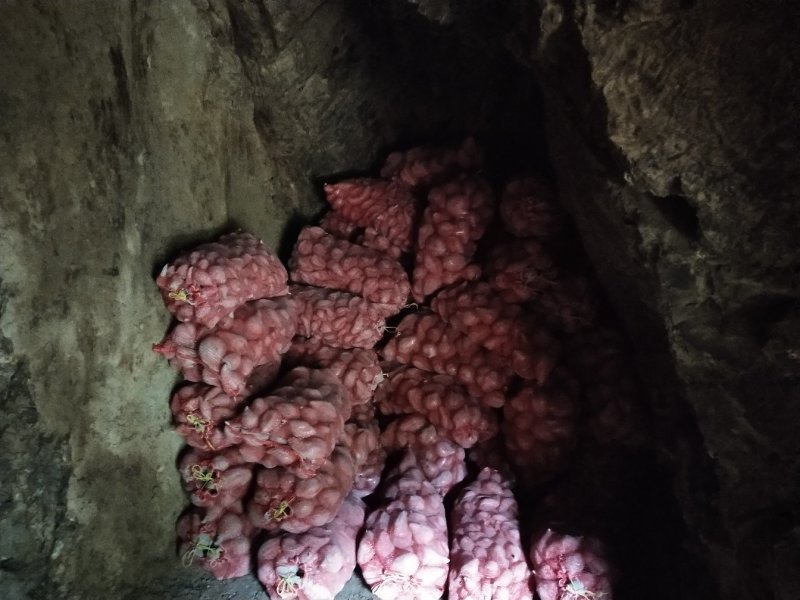 西瓜红薯，3两一半斤一个，