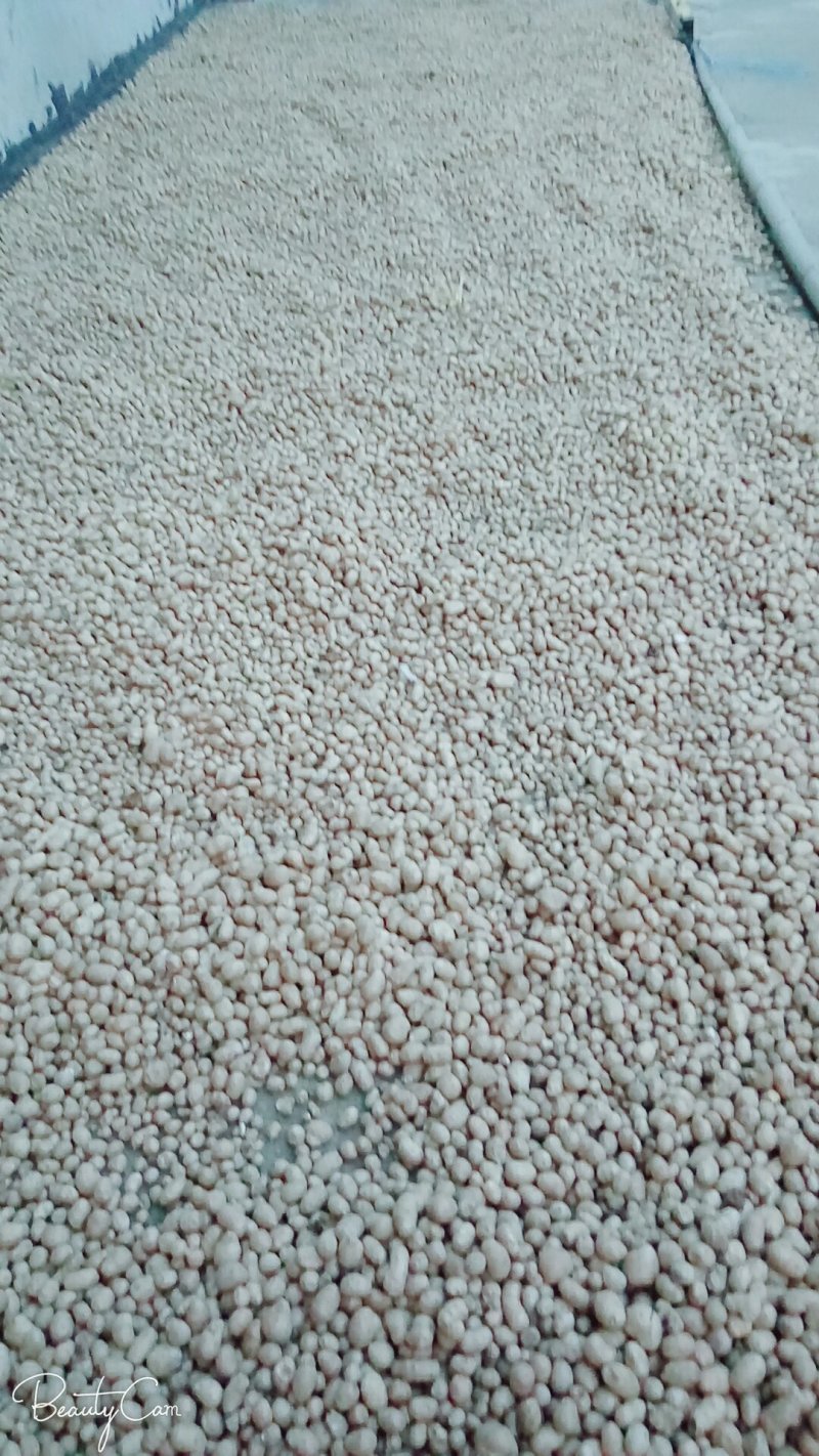 白玉山药豆