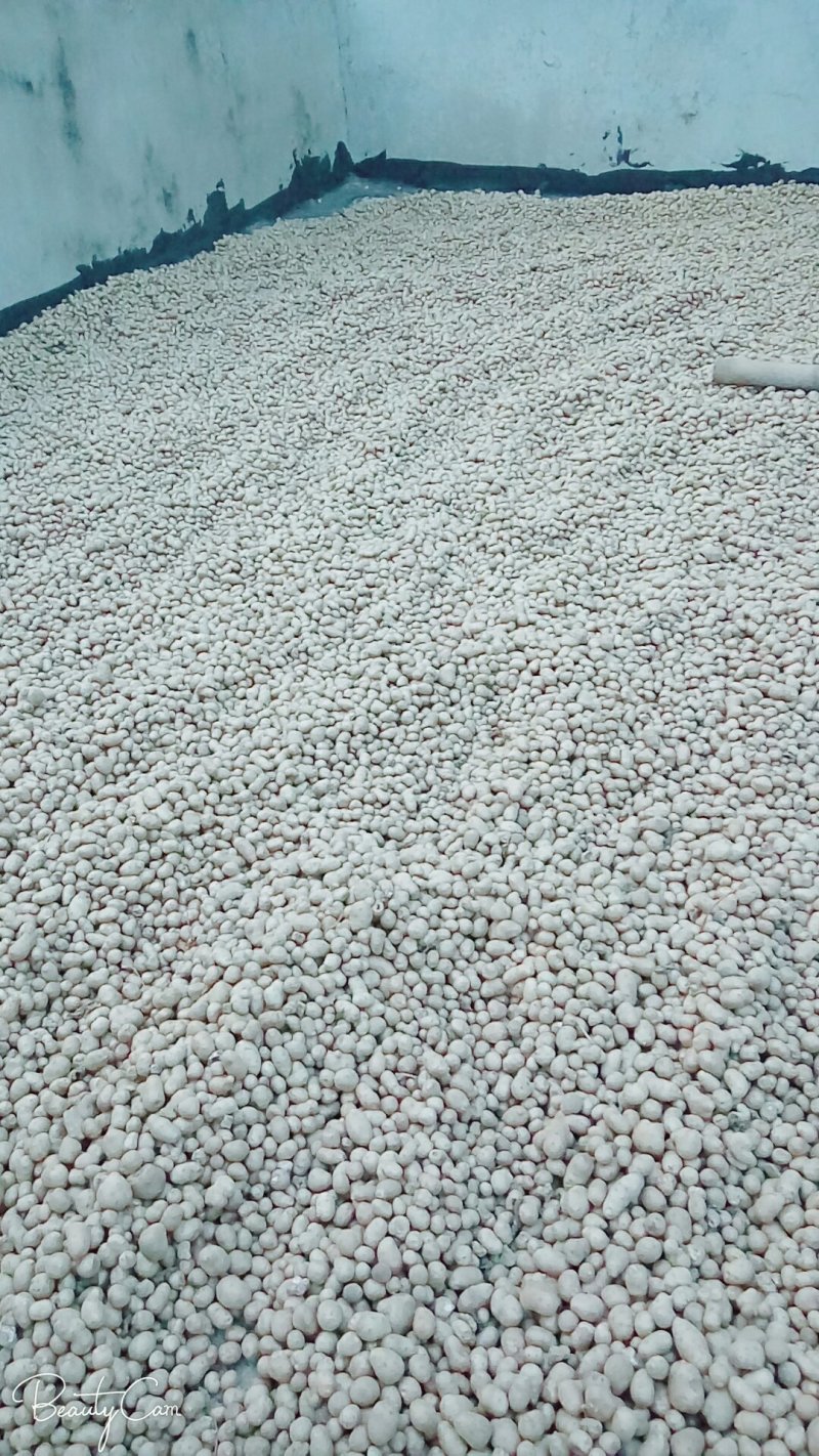 白玉山药豆