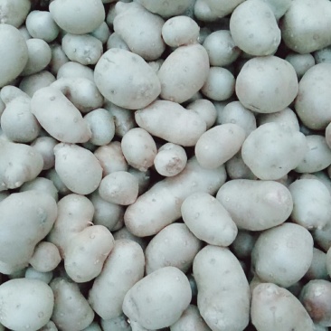 白玉山药豆