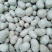 白玉山药豆
