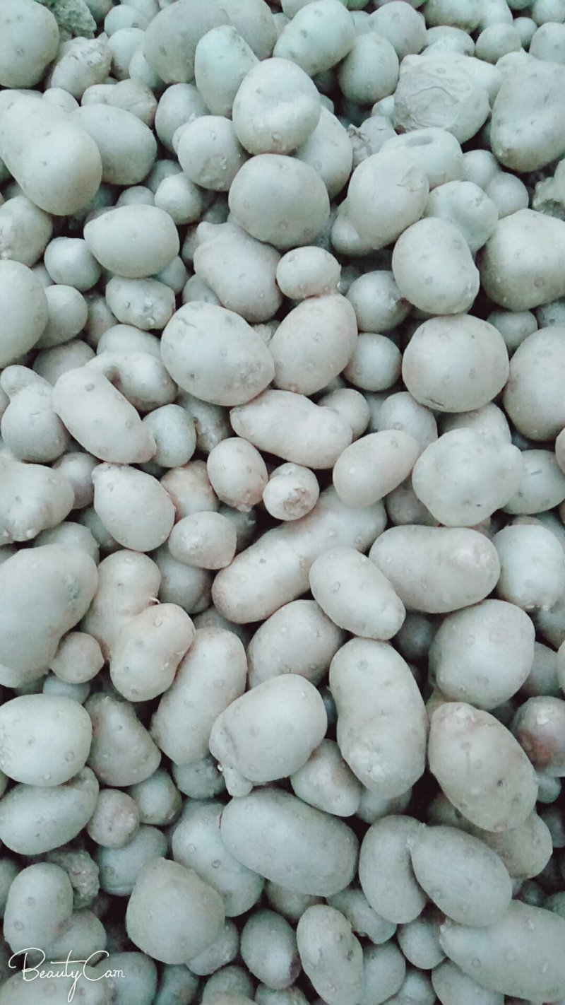 白玉山药豆