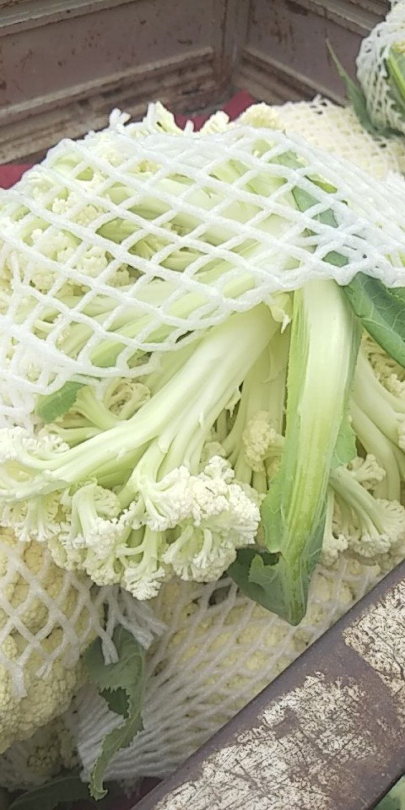 菜花，有机花菜，大量上市，物美价廉，有意者前来合作。