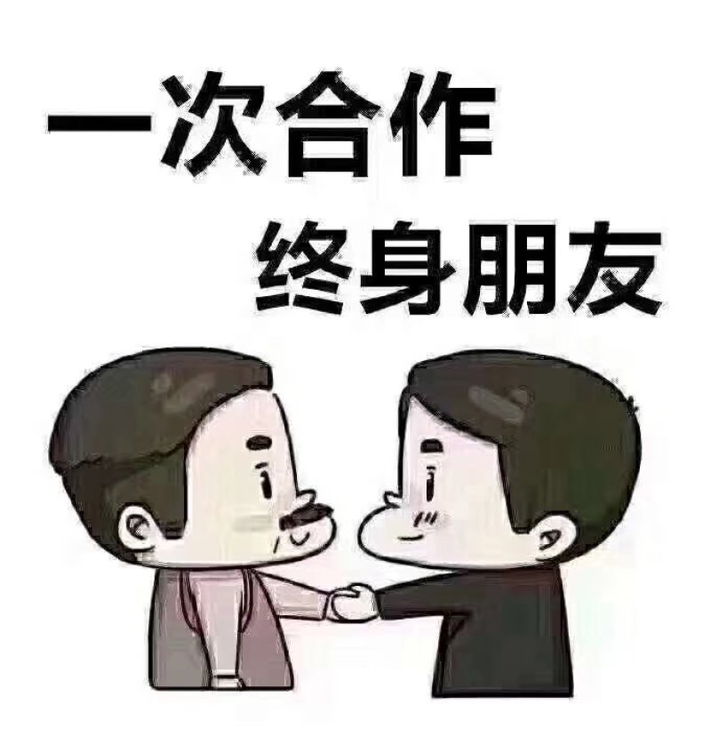 正中蜂糖李子苗技术支持