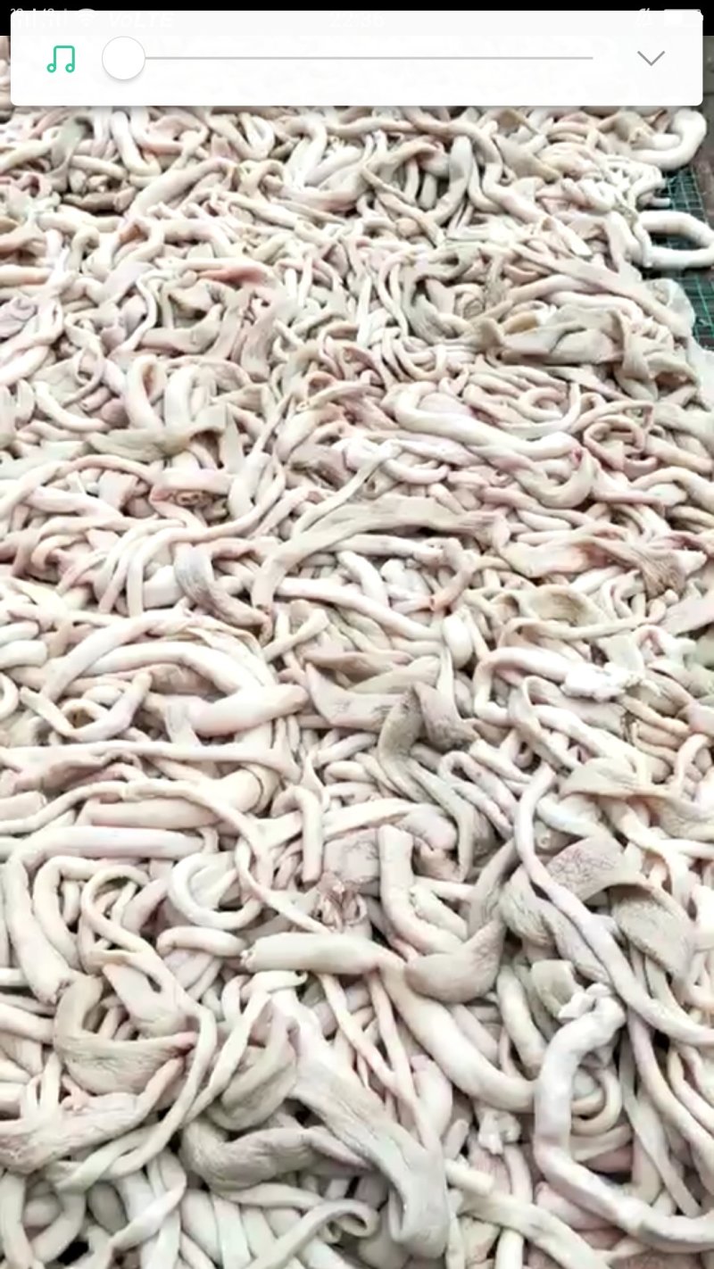 清真纯熟全材料羊肠子