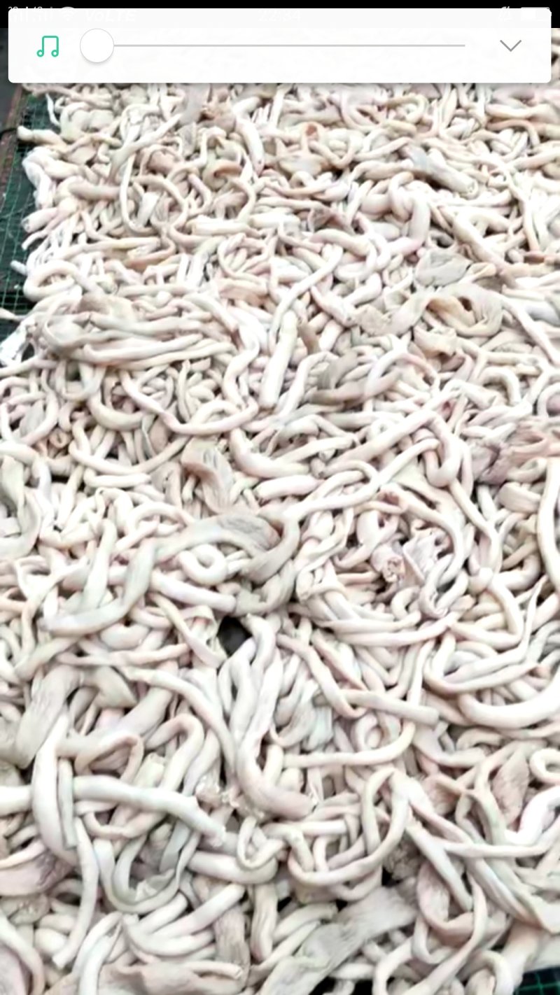 清真纯熟全材料羊肠子
