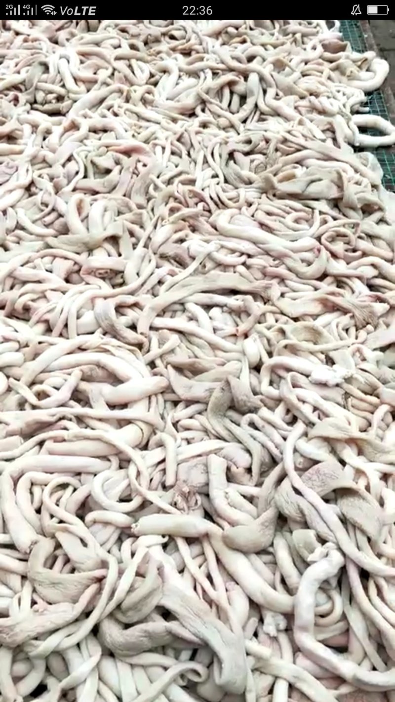 清真纯熟全材料羊肠子