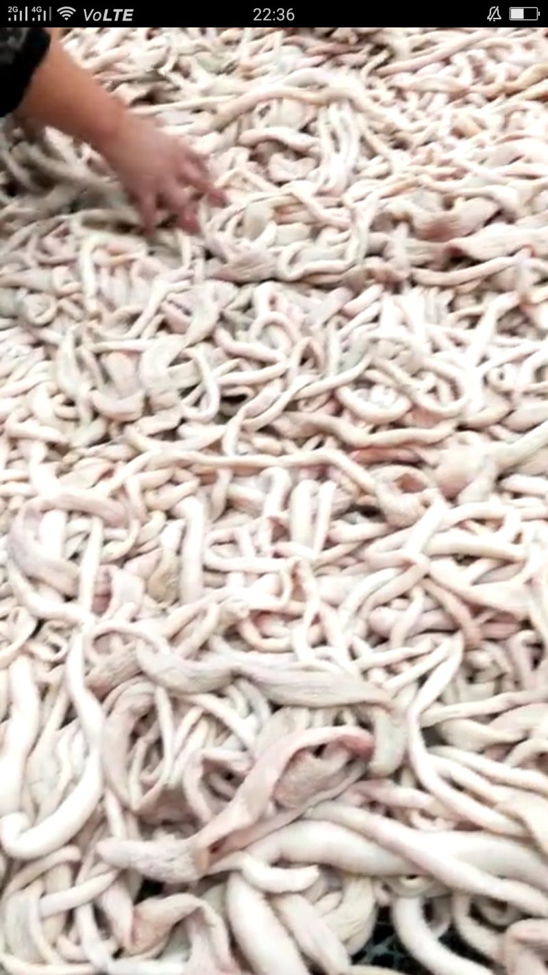 清真纯熟全材料羊肠子