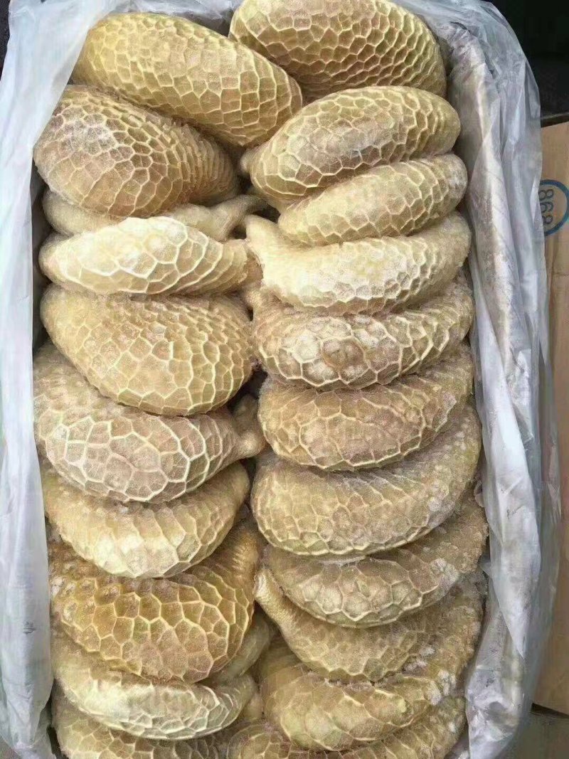 清真纯熟全材料羊肠子