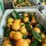 蜜橘统装果全黄口感甜产地直销量大从优大量上市