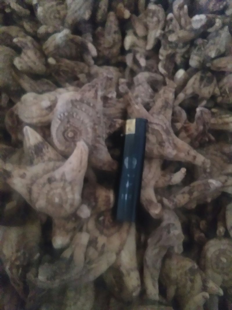 白芨干，生有大货