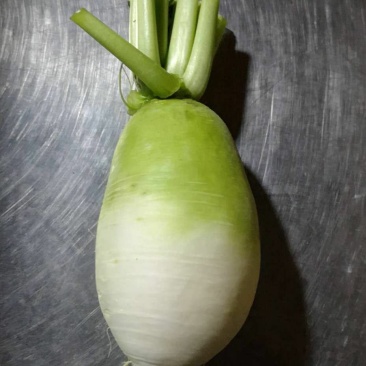 萝卜，