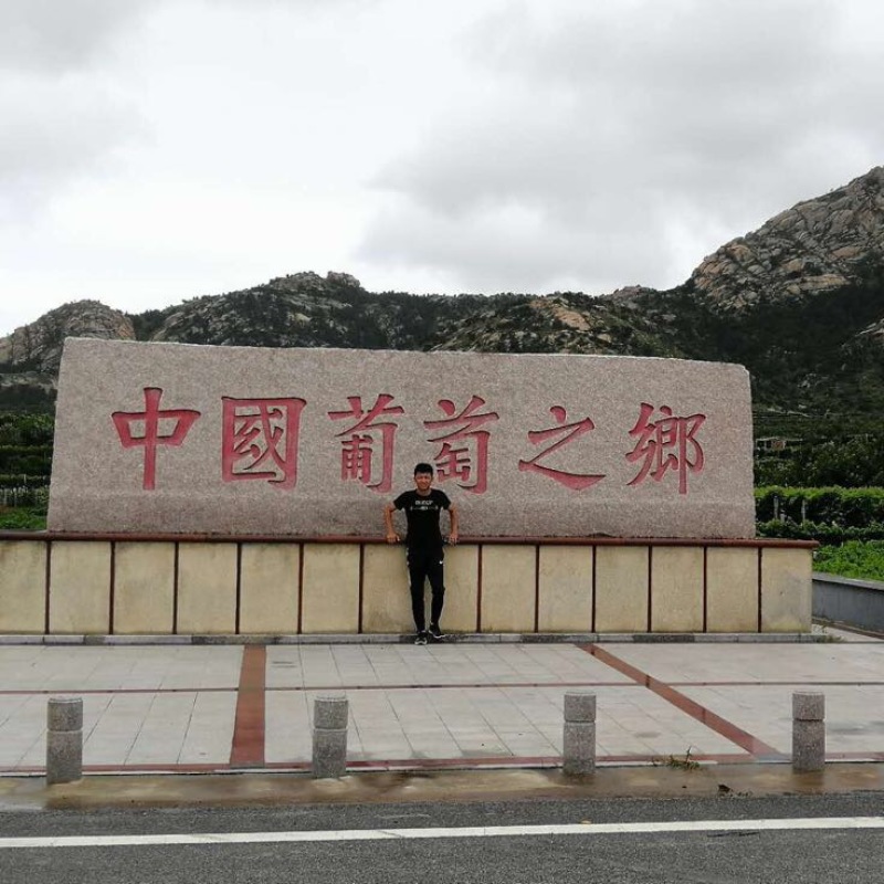 甜蜜蓝宝石葡萄苗2年30cm以下