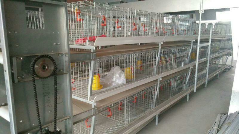 笼养鸡鸭笼具