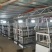 笼养鸡鸭笼具
