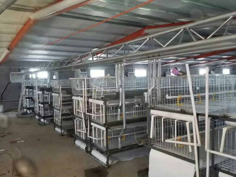 笼养鸡鸭笼具