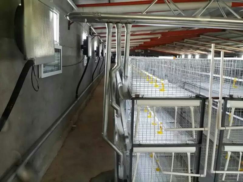 笼养鸡鸭笼具