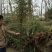 竹子基地量大批发，竹子品种全数量大