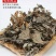陈艾艾叶艾条蕲艾手工艾条双十一活动回馈