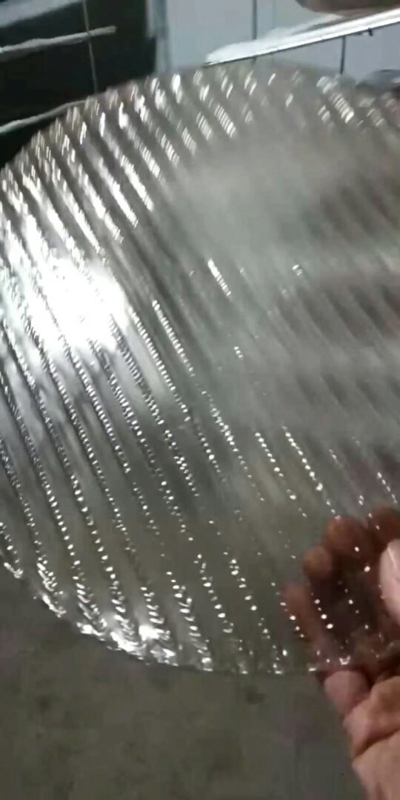 红薯粉皮！