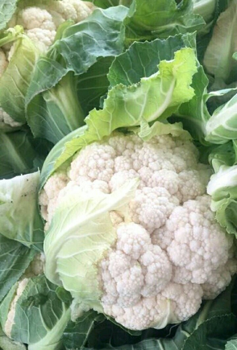 【推荐】优质的服务，中国花菜基地，雪白菜花松花菜等
