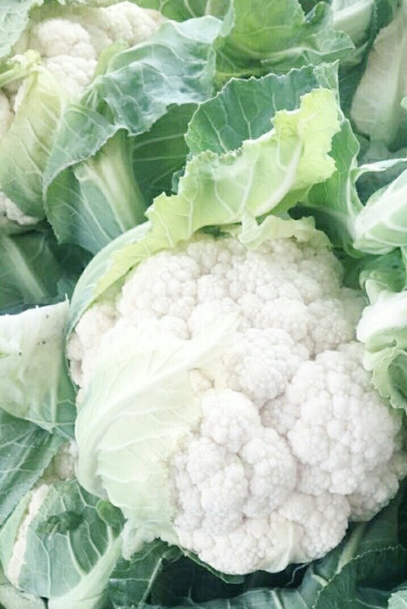 【推荐】优质的服务，中国花菜基地，雪白菜花松花菜等