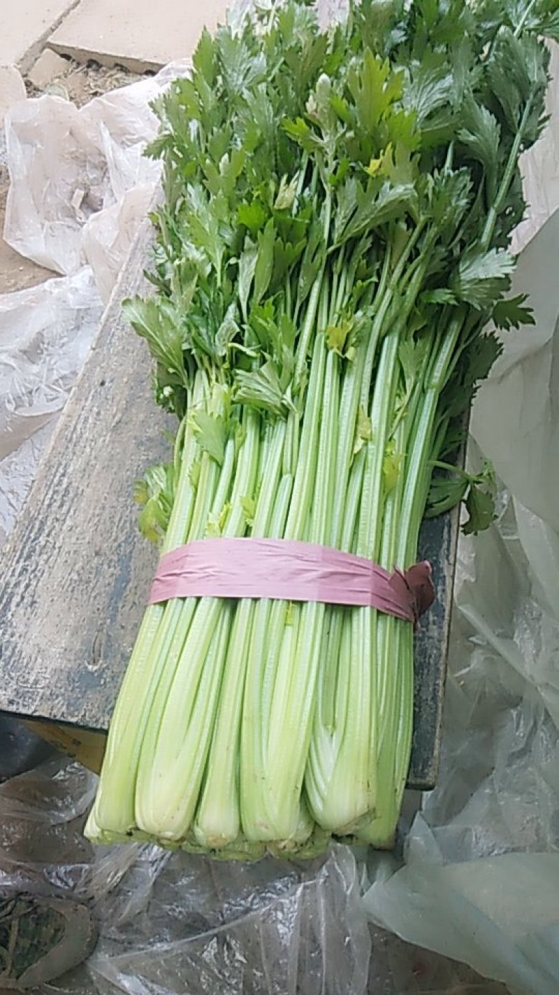 西芹