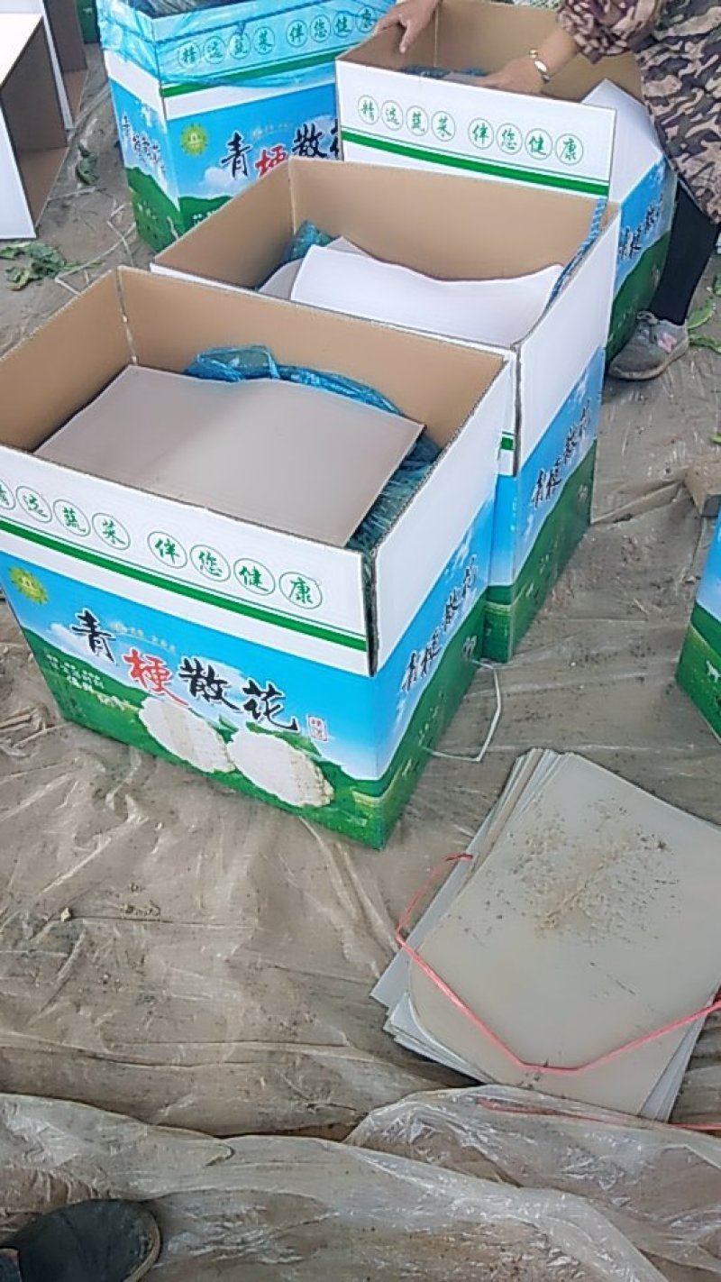 有机花