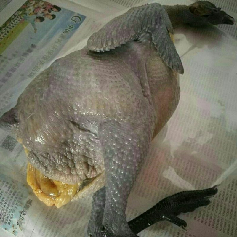 野象林月子鸡