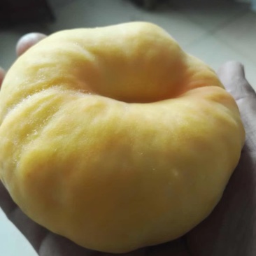 桃树苗