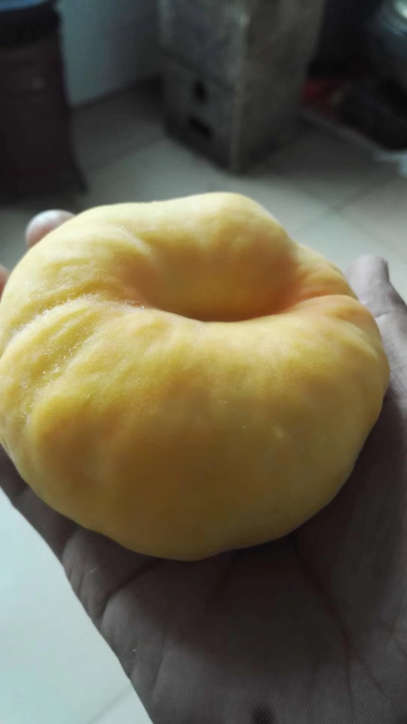 桃树苗